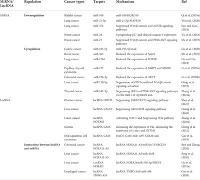 An intravenous anesthetic drug-propofol, influences the biological characteristics of malignant tumors and reshapes the tumor microenvironment: A narrative literature review